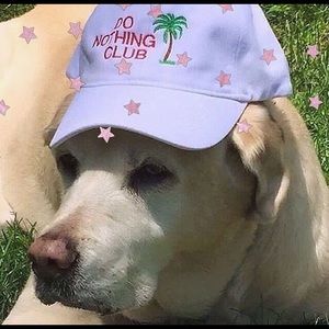 Meet your Posher, Vivian